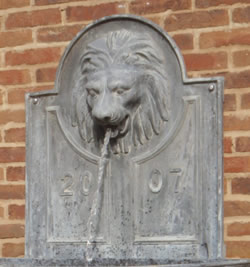 Bespoke Ribbed Lion Spout